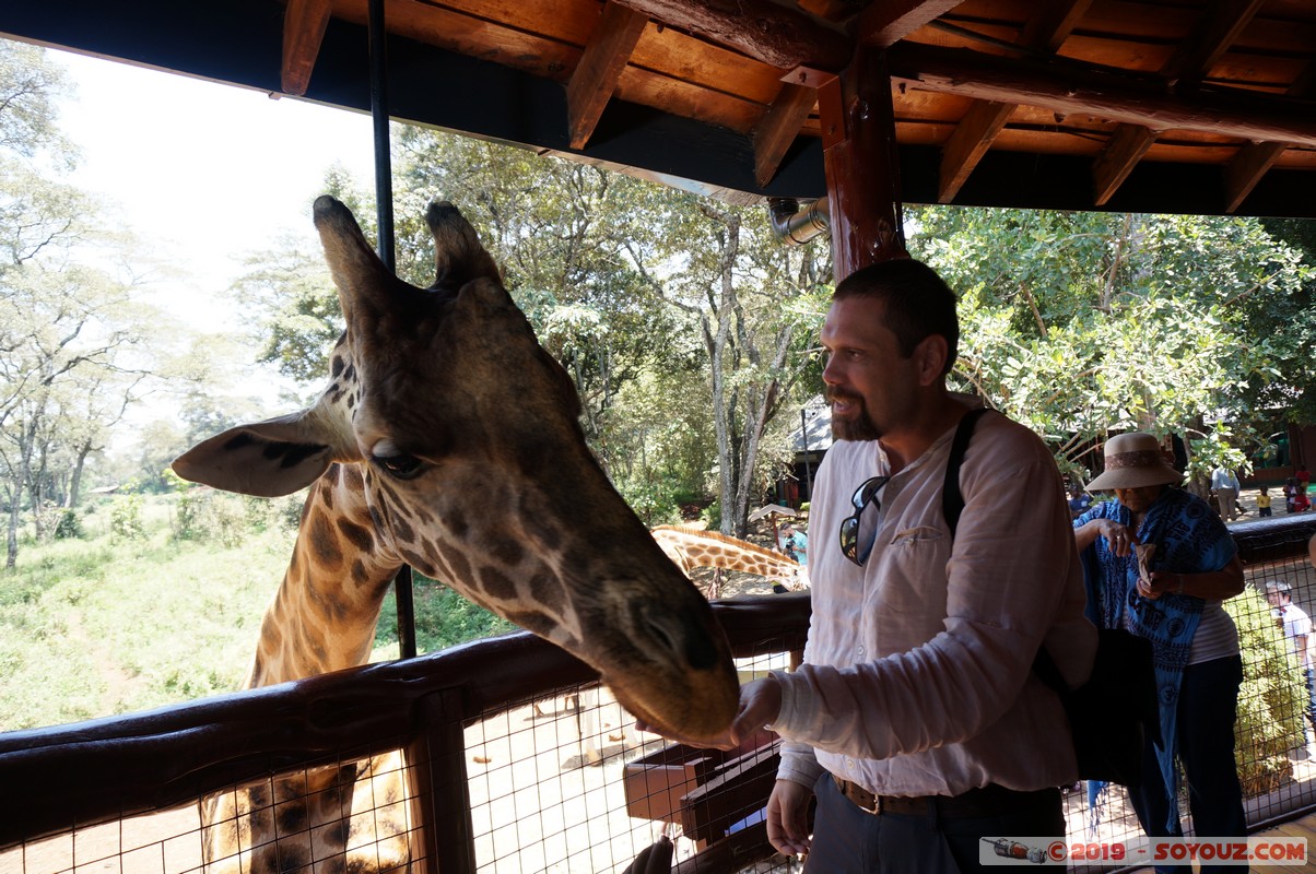 Nairobi - Giraffe Centre
Mots-clés: KEN Kenya Nairobi Area Giraffe Centre animals Giraffe