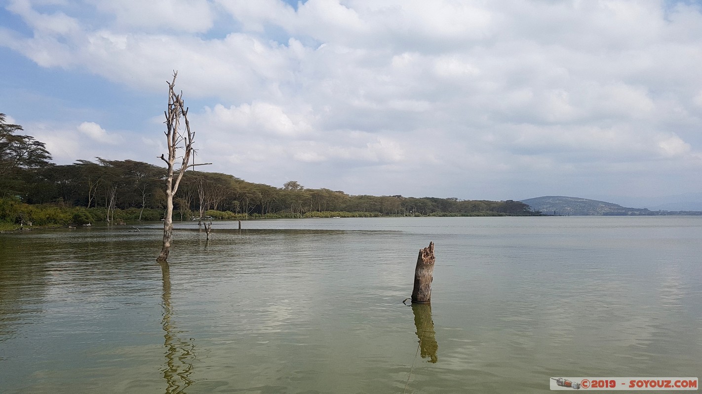 Lake Nakuru
Mots-clés: Hippo Point KEN Kenya Nakuru Lake Nakuru Lac