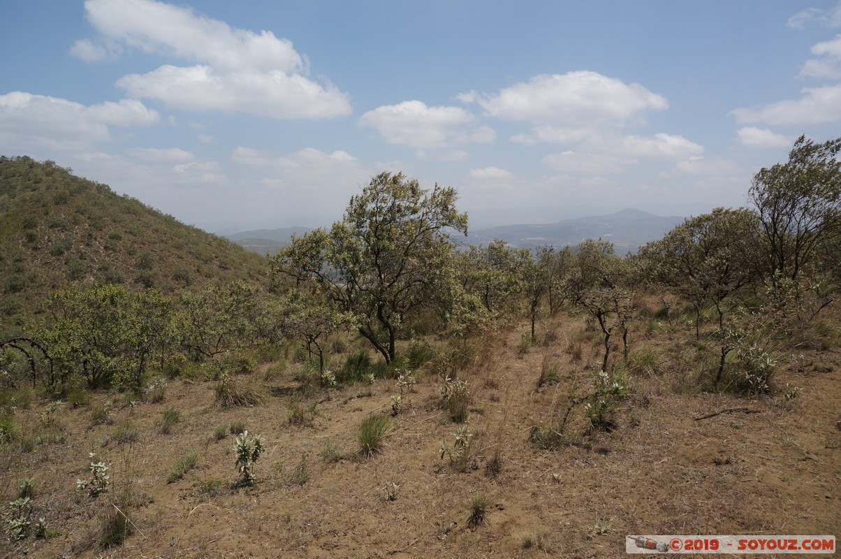 Hell's Gate
Mots-clés: KEN Kenya Longonot Nakuru Hell's Gate