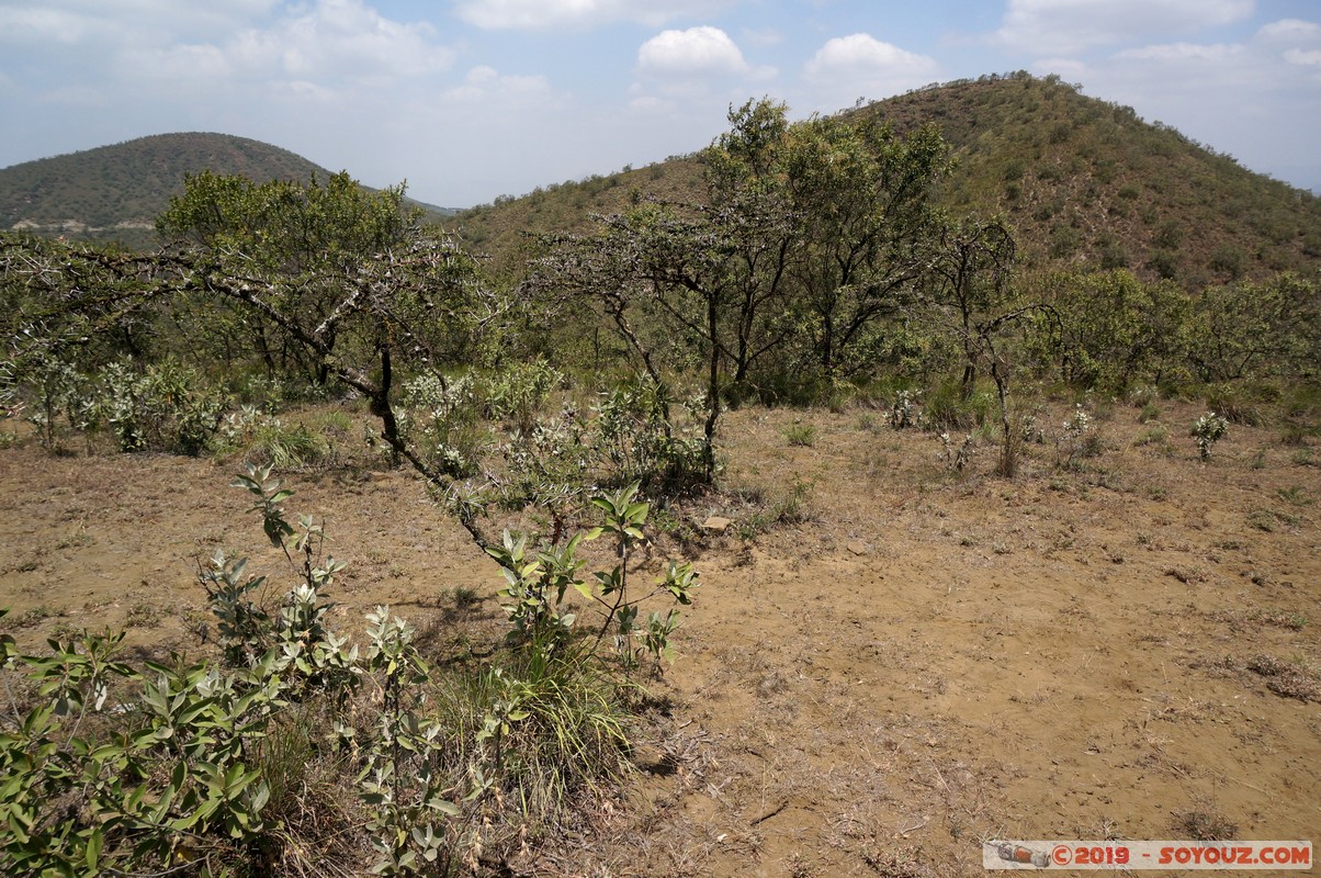 Hell's Gate
Mots-clés: KEN Kenya Longonot Nakuru Hell's Gate