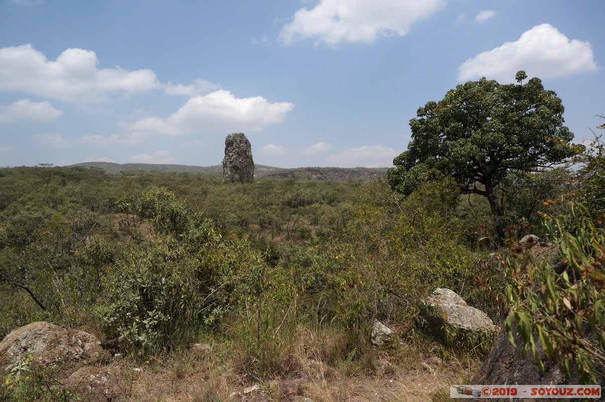 Hell's Gate - Baboons
Mots-clés: KEN Kenya Lolonito Narok Hell's Gate animals Babouin singes