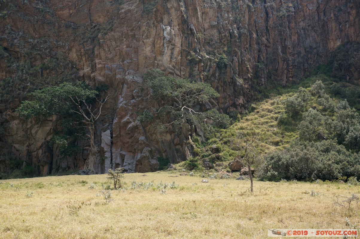 Hell's Gate
Mots-clés: KEN Kenya Lolonito Narok Hell's Gate Arbres