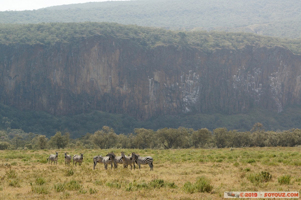 Hell's Gate - Zebra
Mots-clés: KEN Kenya Lolonito Narok Hell's Gate animals zebre