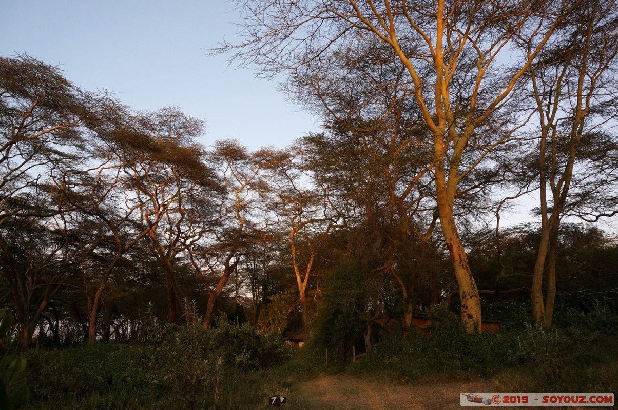 Lake Nakuru - Camp Carnelley's
Mots-clés: Hippo Point KEN Kenya Nakuru sunset