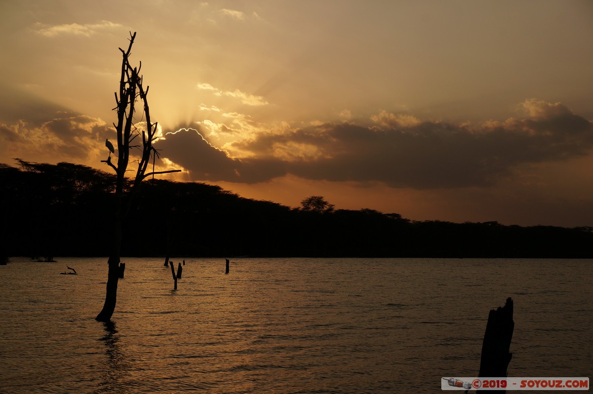 Lake Nakuru at sunset
Mots-clés: Hippo Point KEN Kenya Nakuru Lake Nakuru Lac sunset