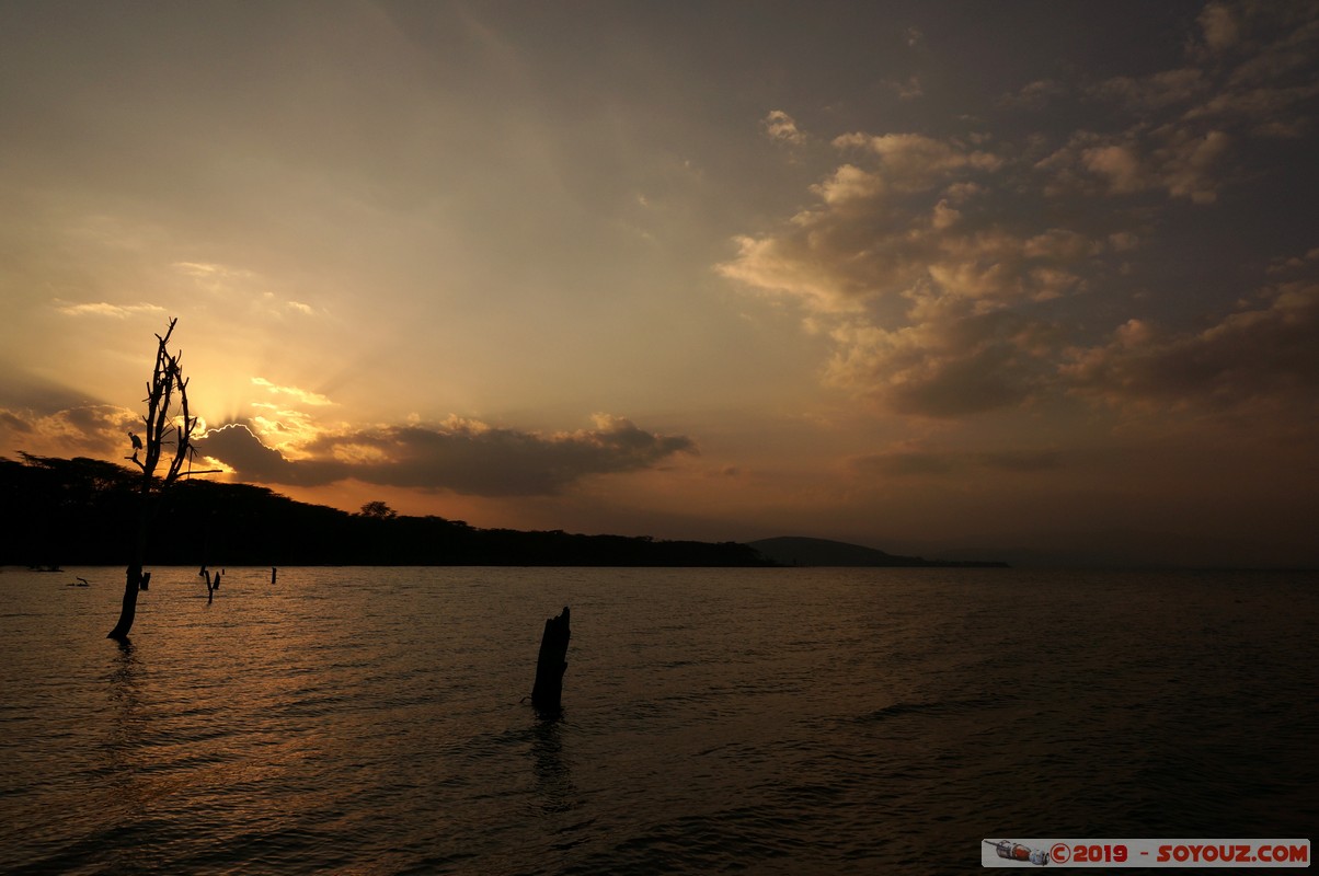 Lake Nakuru at sunset
Mots-clés: Hippo Point KEN Kenya Nakuru Lake Nakuru Lac sunset