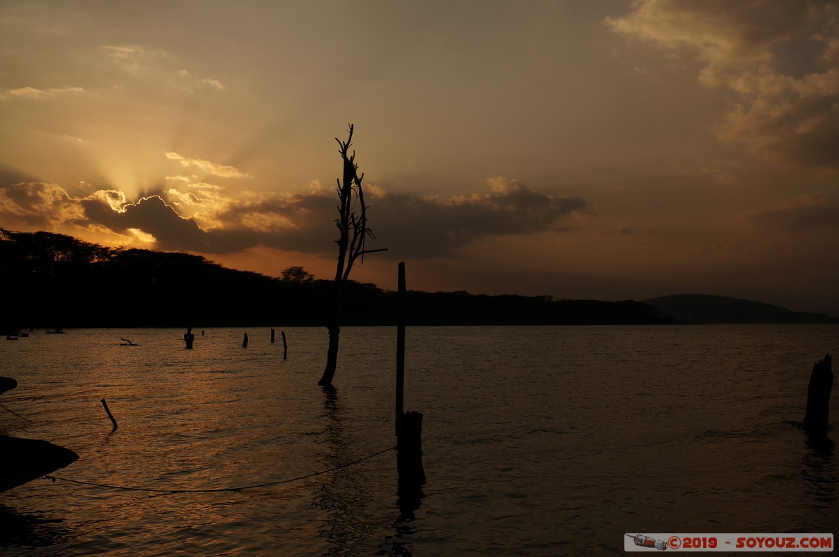 Lake Nakuru at sunset
Mots-clés: Hippo Point KEN Kenya Nakuru Lake Nakuru Lac sunset