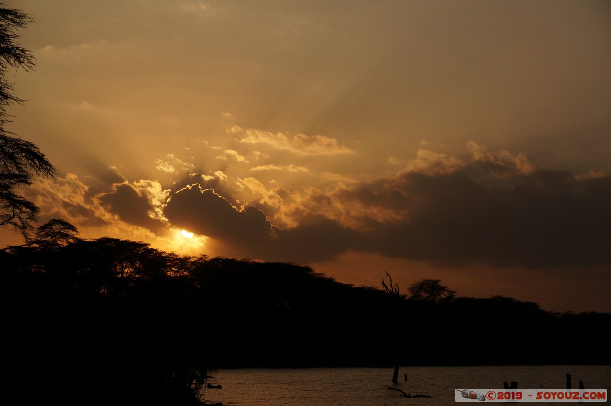 Lake Nakuru at sunset
Mots-clés: Hippo Point KEN Kenya Nakuru Lake Nakuru Lac sunset