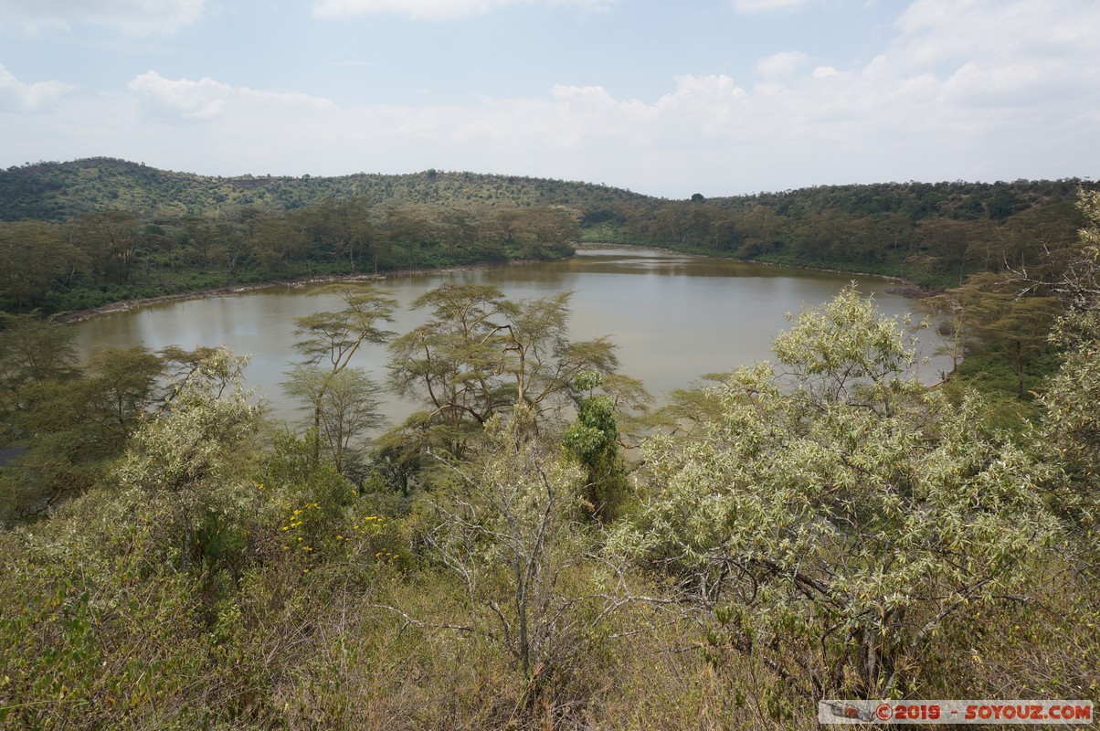 Nakuru - Crater lake
Mots-clés: KEN Kenya Lentolia Stud Nakuru Crater lake Lac