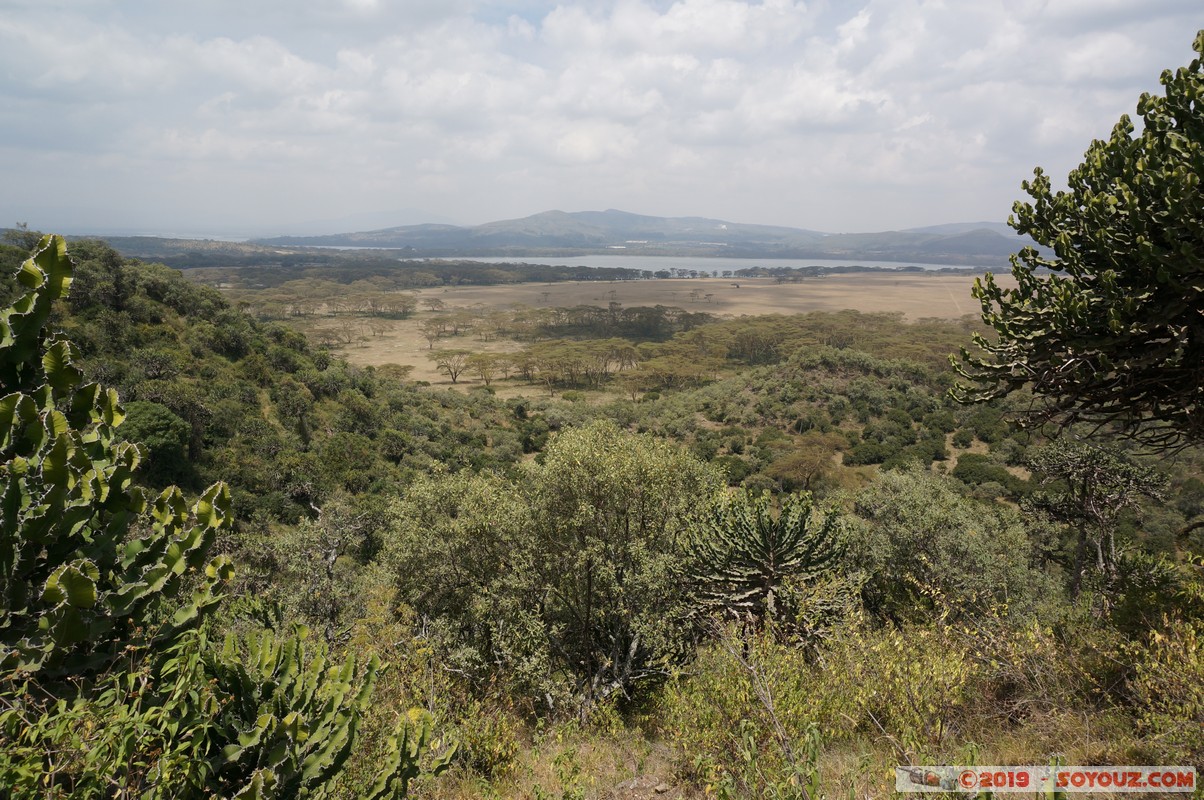 Nakuru - Crater lake
Mots-clés: KEN Kenya Lentolia Stud Nakuru Crater lake
