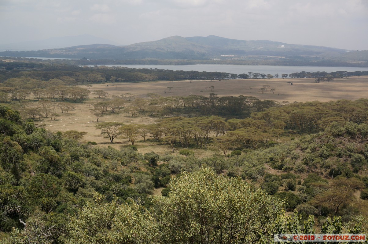 Nakuru - Crater lake
Mots-clés: KEN Kenya Lentolia Stud Nakuru Crater lake