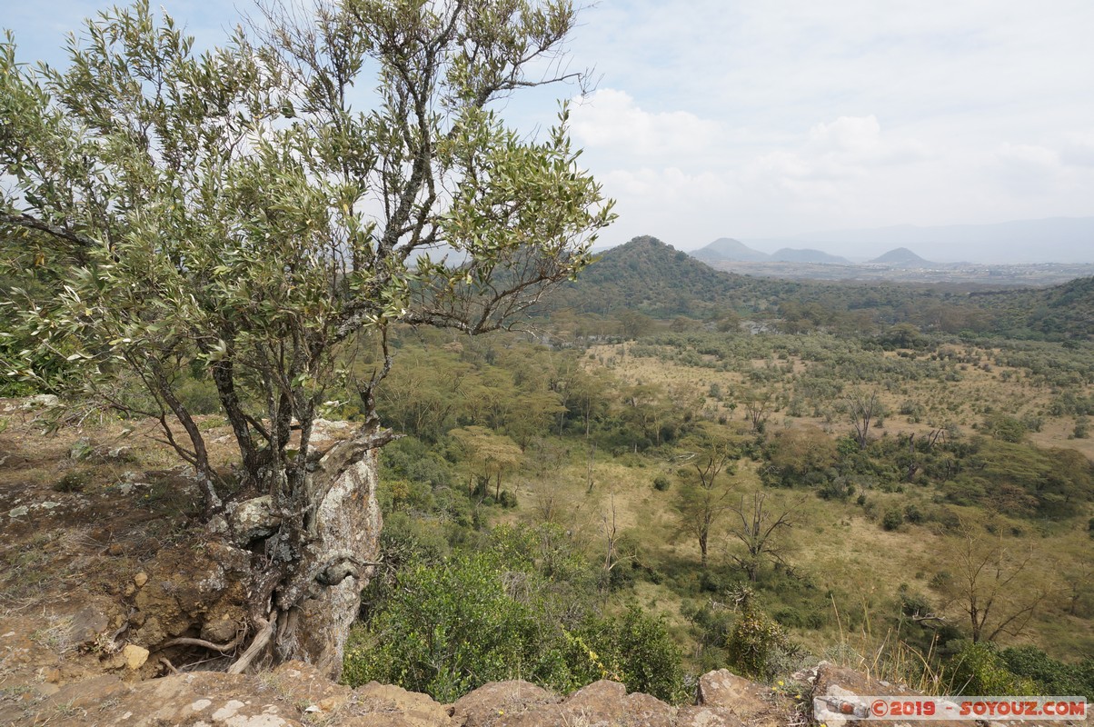 Nakuru - Crater lake
Mots-clés: KEN Kenya Lentolia Stud Nakuru Crater lake