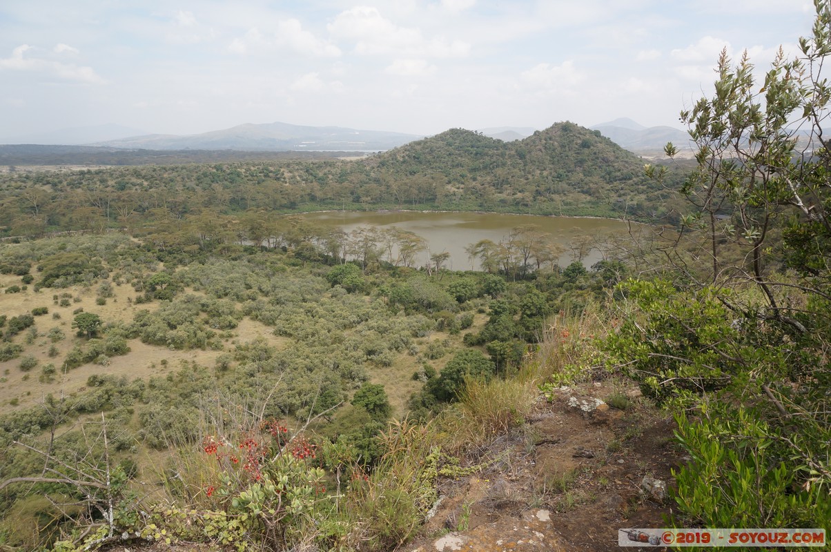 Nakuru - Crater lake
Mots-clés: KEN Kenya Lentolia Stud Nakuru Crater lake