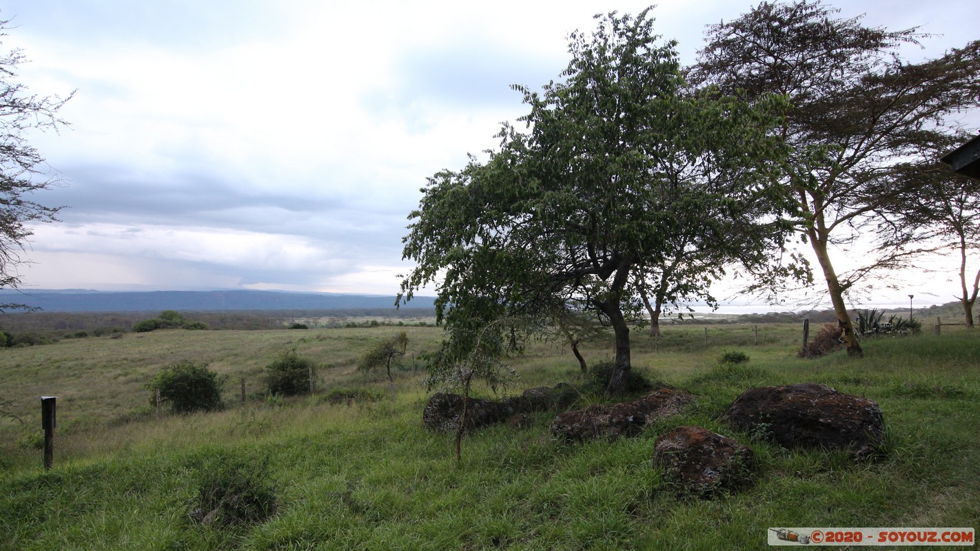 Lake Nakuru National Park
Mots-clés: KEN Kenya Nakuru Nderit Lake Nakuru National Park Lake Nakuru Lodge Arbres