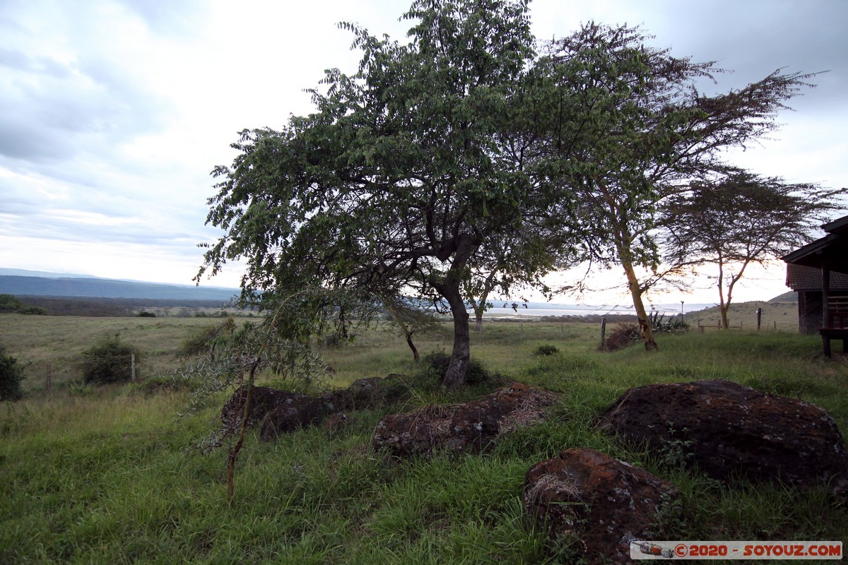 Lake Nakuru National Park
Mots-clés: KEN Kenya Nakuru Nderit Lake Nakuru National Park Arbres