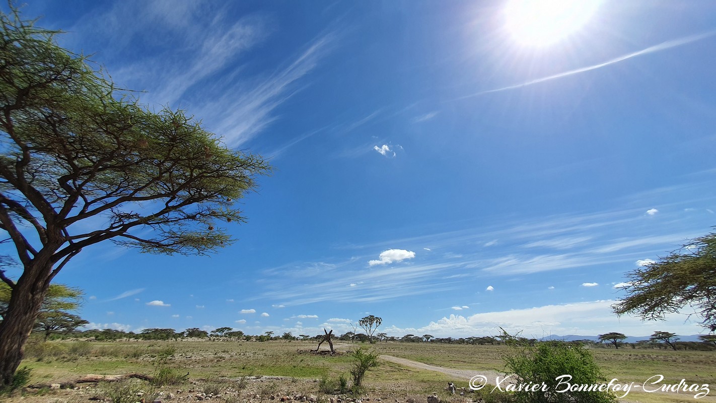 Buffalo Springs - Cirrus sky
Mots-clés: geo:lat=0.60671658 geo:lon=37.64845060 geotagged KEN Kenya Samburu Isiolo Buffalo Springs National Reserve Nuages Cirrus