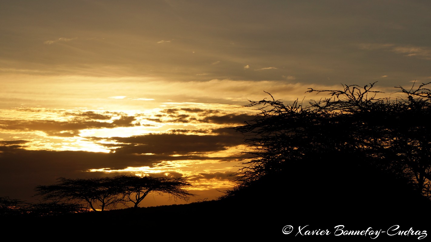 Shaba - Sunset
Mots-clés: Archers Post geo:lat=0.64699600 geo:lon=37.73481100 geotagged KEN Kenya Samburu Isiolo Shaba National Reserve sunset