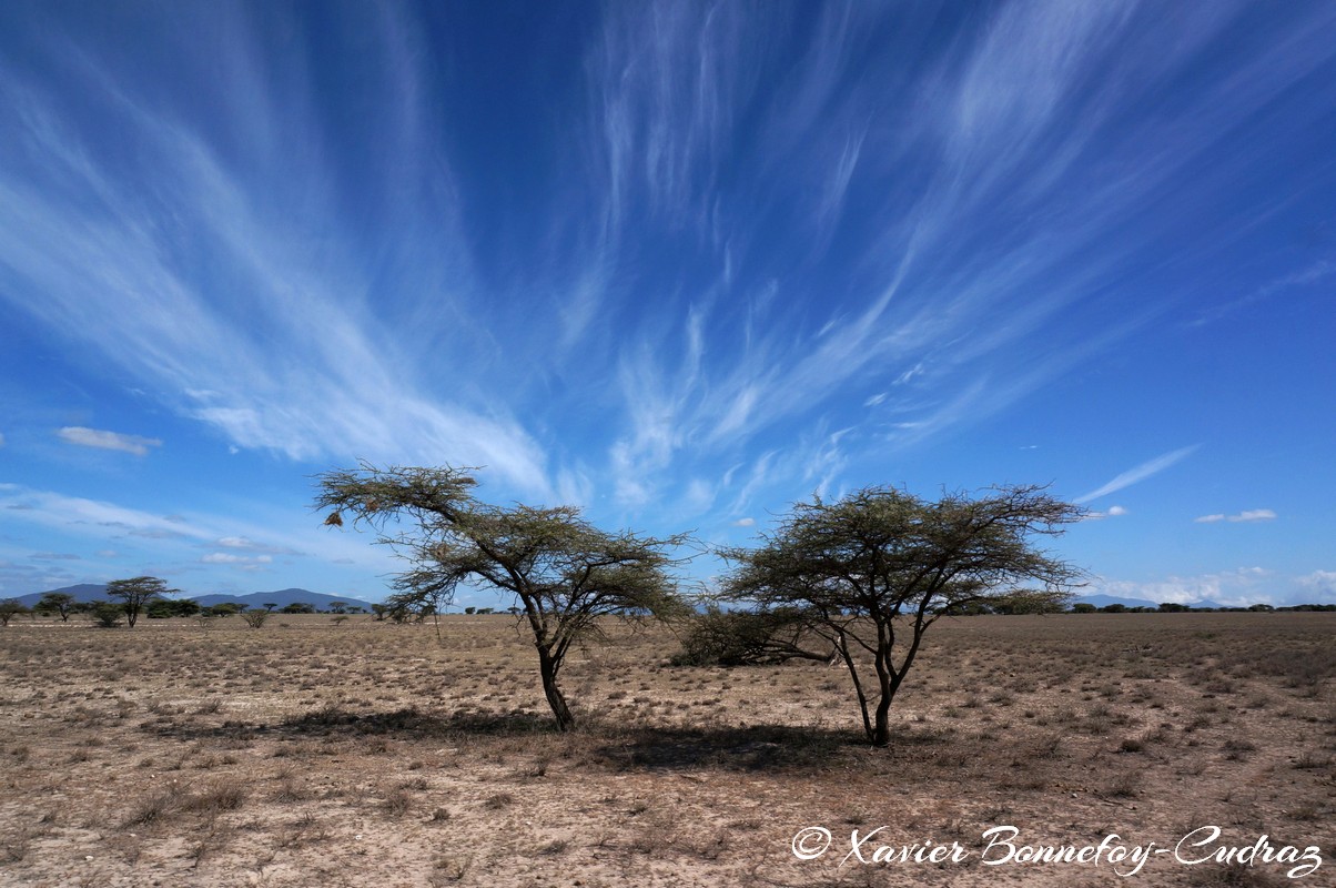 Buffalo Springs - Cirrus sky
Mots-clés: geo:lat=0.60321200 geo:lon=37.65594900 geotagged KEN Kenya Samburu Umoja Isiolo Buffalo Springs National Reserve Nuages Cirrus