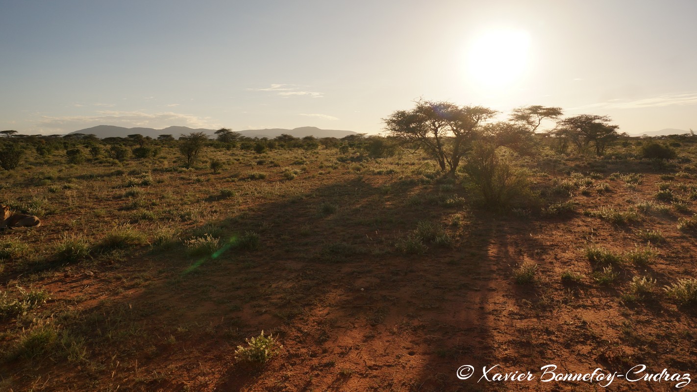 Buffalo Springs - Sunset
Mots-clés: geo:lat=0.55667800 geo:lon=37.57351000 geotagged KEN Kenya Samburu Umoja Isiolo Buffalo Springs National Reserve sunset