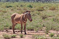 IMG_6272.JPG