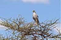 IMG_6463.JPG