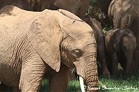IMG_6534.JPG