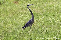 IMG_7240.JPG