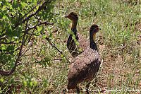 IMG_7495.JPG