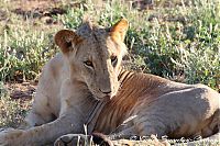 IMG_7714.JPG