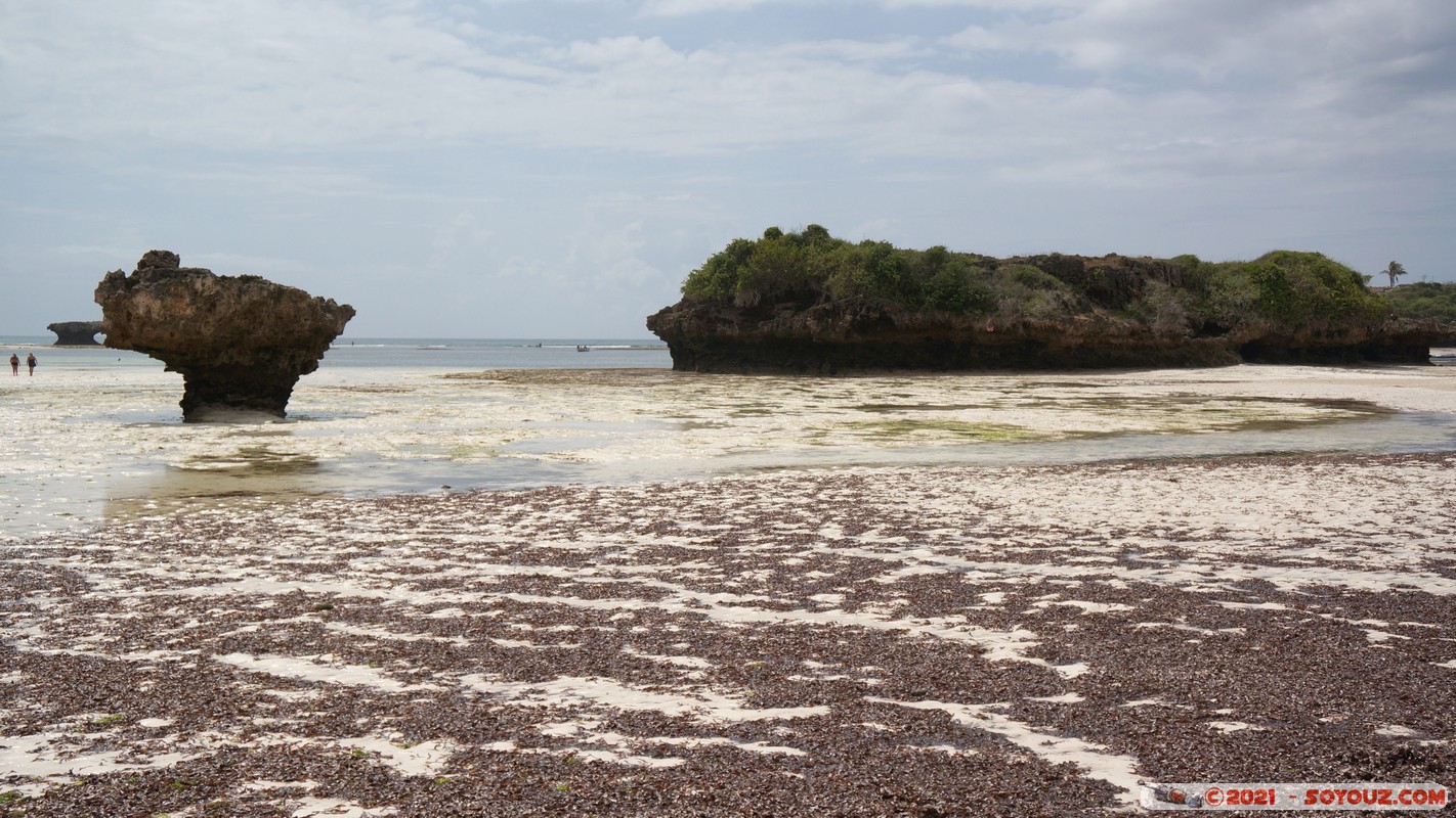 Watamu bay
Mots-clés: geo:lat=-3.35051302 geo:lon=40.02582147 geotagged KEN Kenya Kilifi Watamu plage Mer Watamu bay