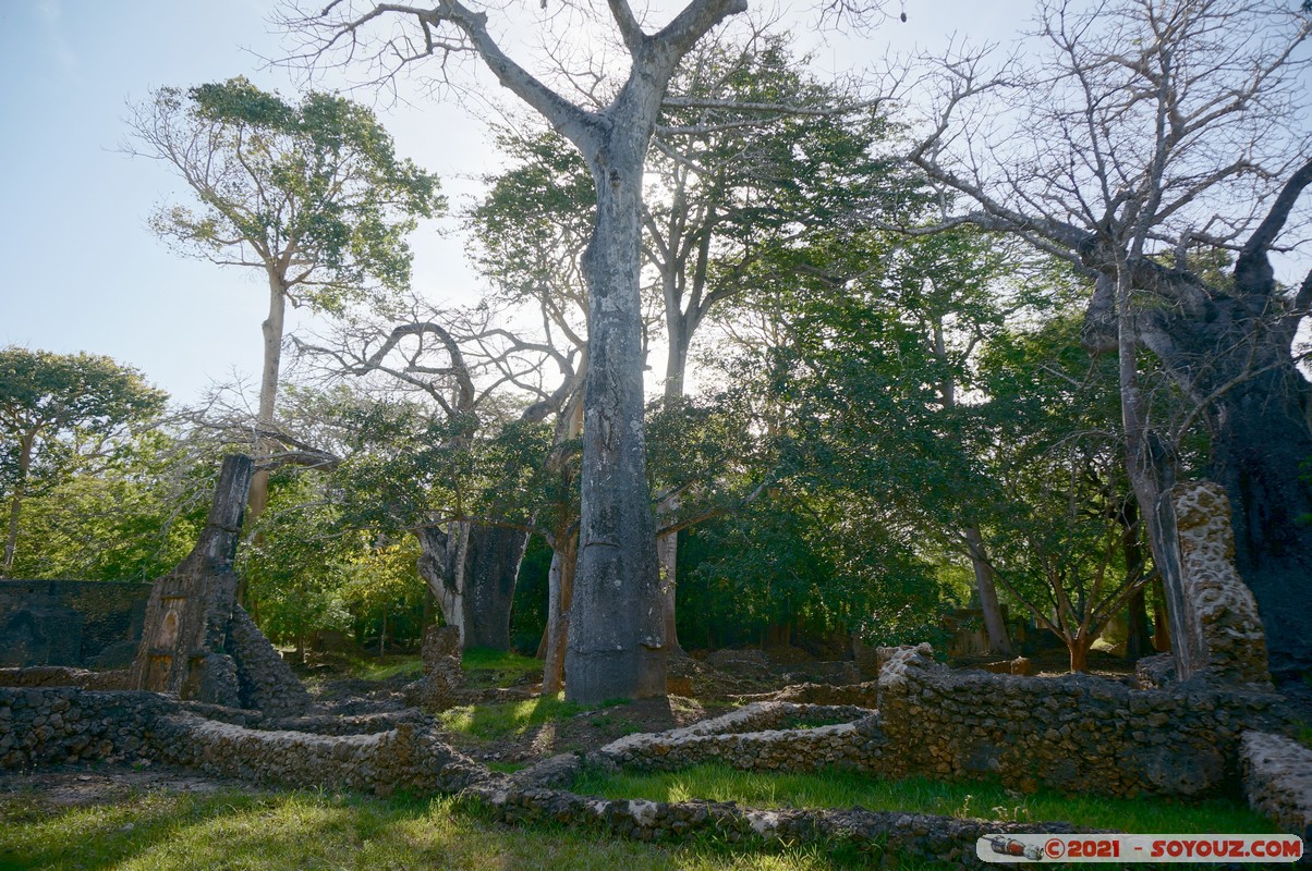 Watamu - Gede Ruins - Tomb of the Fluted Pillar
Mots-clés: Gedi geo:lat=-3.30954634 geo:lon=40.01747240 geotagged KEN Kenya Kilifi Gede Ruins Ruines Tomb of the Fluted Pillar Watamu