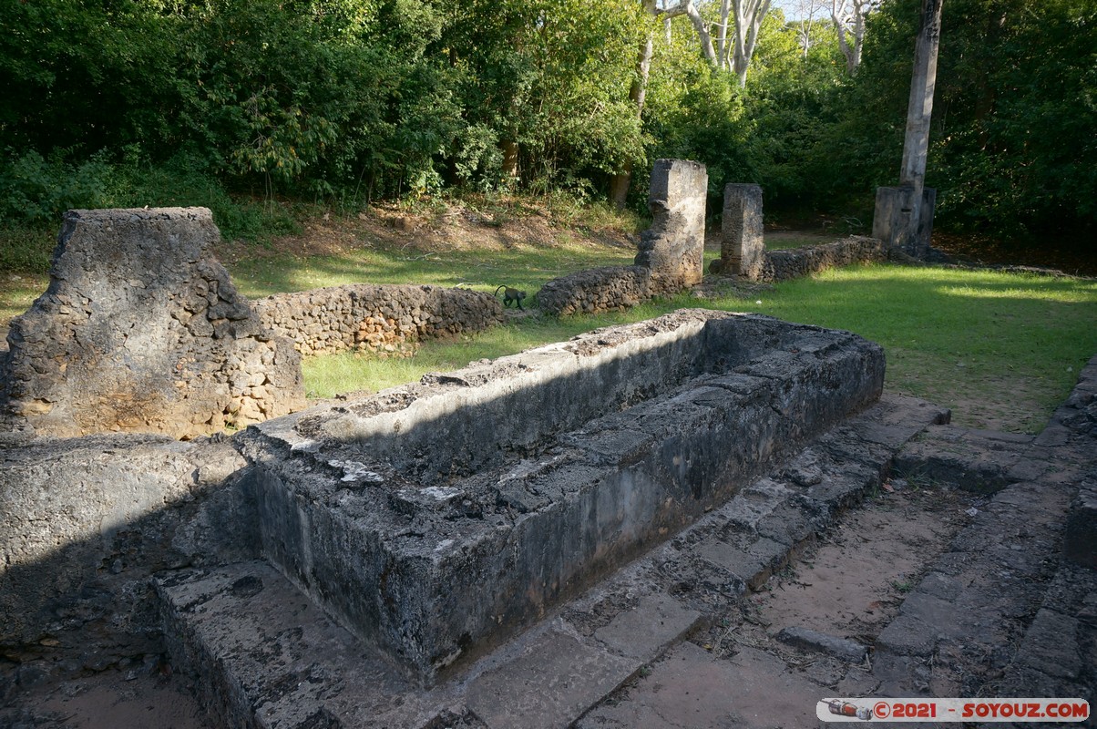 Watamu - Gede Ruins - Great Mosque
Mots-clés: Gedi geo:lat=-3.30999272 geo:lon=40.01731844 geotagged KEN Kenya Kilifi Gede Ruins Ruines Great Mosque Mosque Watamu