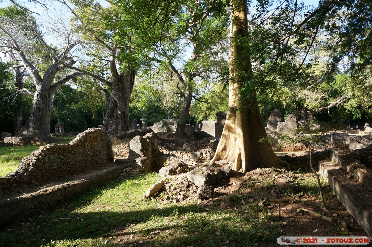 Watamu - Gede Ruins - Rocket tree
Mots-clés: Gedi geo:lat=-3.30956925 geo:lon=40.01693888 geotagged KEN Kenya Kilifi Gede Ruins Ruines Watamu