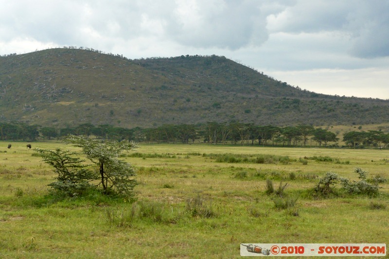 Lake Nakuru National Park
