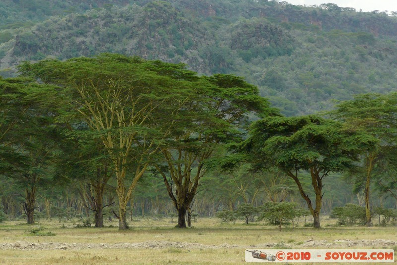 Lake Nakuru National Park
