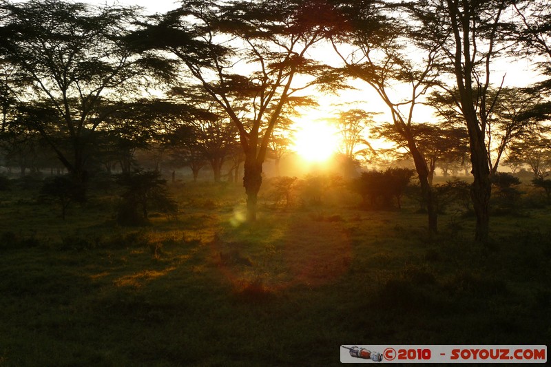 Lake Nakuru National Park - Sunrise
Mots-clés: sunset