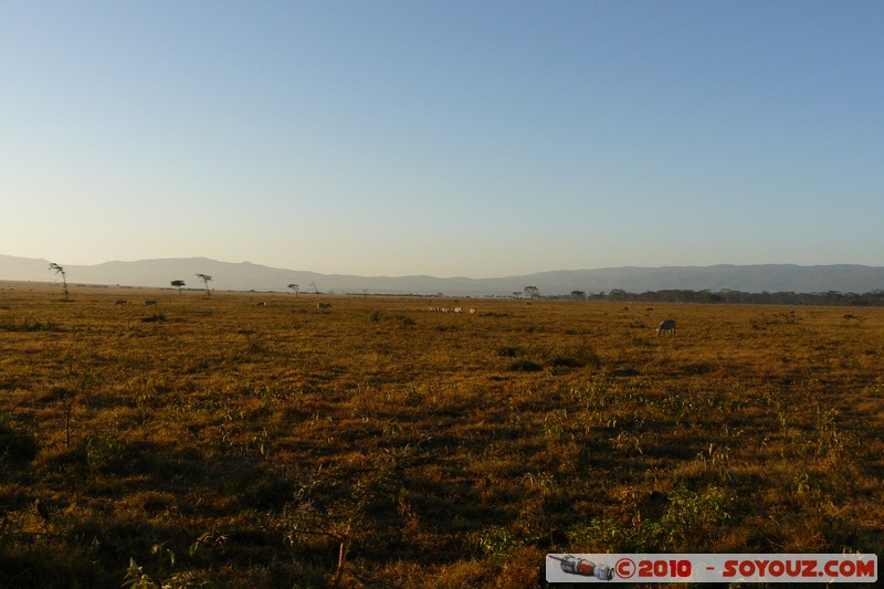 Lake Nakuru National Park
Mots-clés: sunset