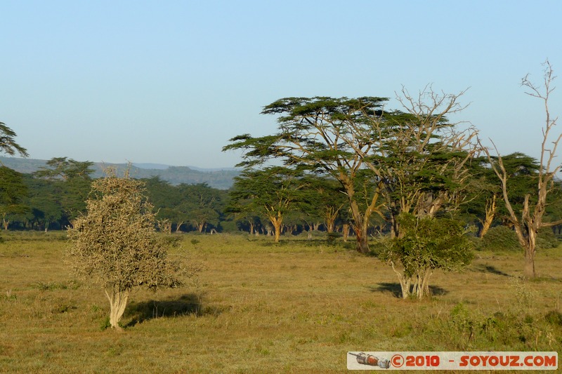 Lake Nakuru National Park
Mots-clés: animals African wild life Arbres