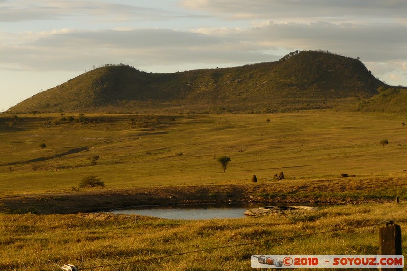 Lake Nakuru National Park
Mots-clés: animals African wild life sunset