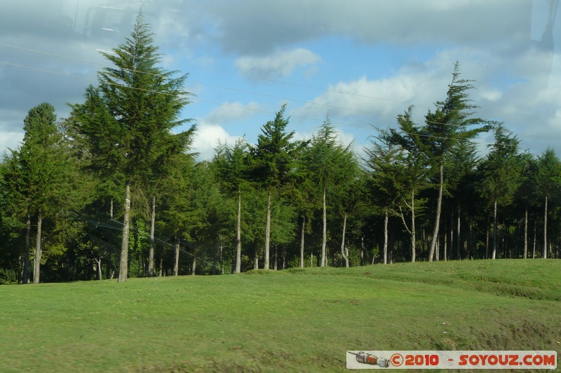 Rift Valley Province
Mots-clés: Arbres