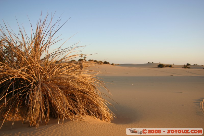 Mots-clés: Couch� de Soleil sunset desert sahara