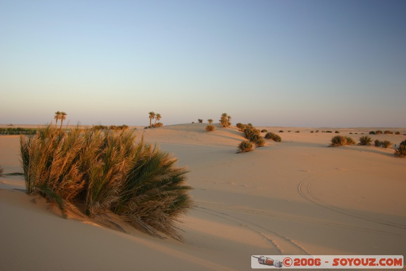 Mots-clés: Couch� de Soleil sunset desert sahara