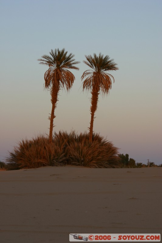 Mots-clés: Couch� de Soleil sunset desert sahara