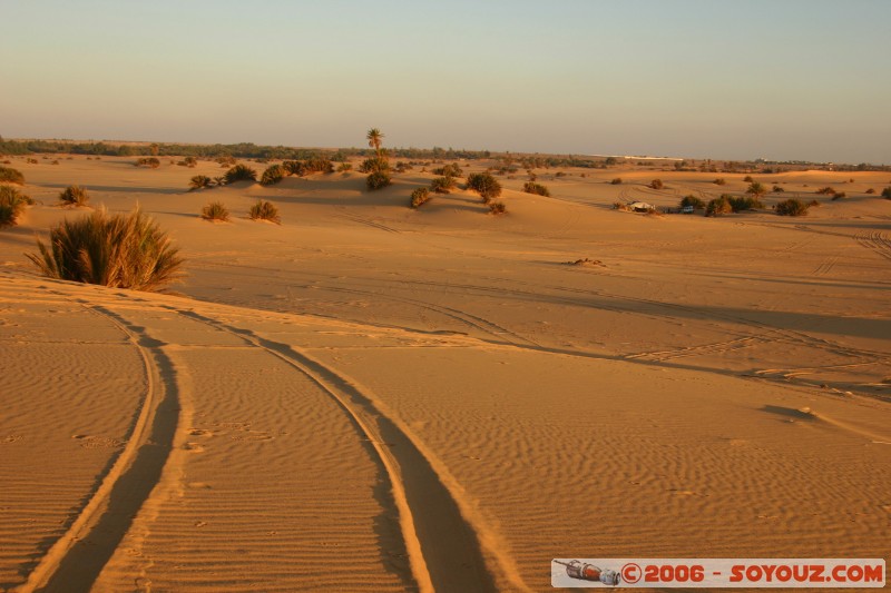 Lonely tracks
Mots-clés: sunrise lev� de soleil desert