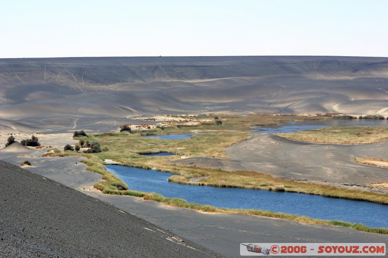 Oasis au creux du Waw al-Namus
infesté de moustiques...
Mots-clés: Waw al-Namus volcan volcano desert