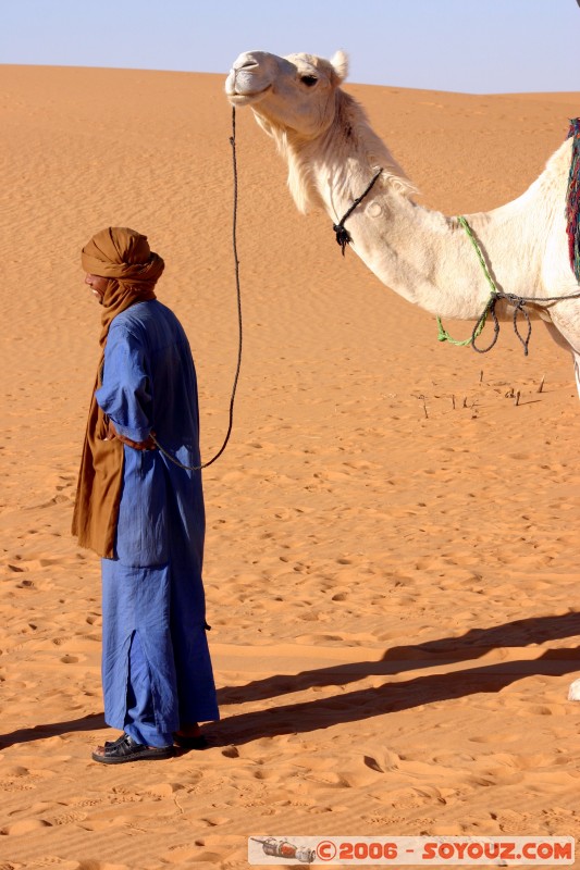 Mots-clés: dromadaire camel desert