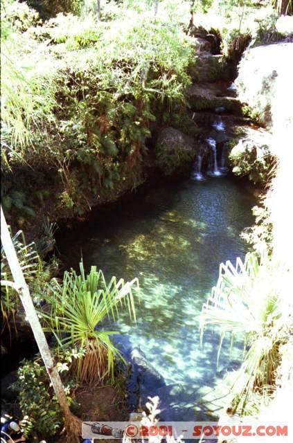 La Piscine Naturelle
