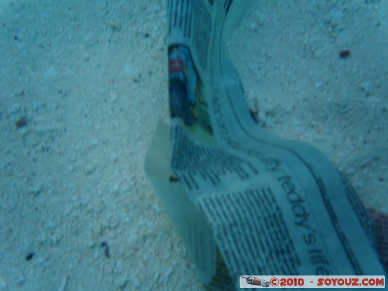 Zanzibar - Kendwa - Underwater test
Mots-clés: sous-marin mer