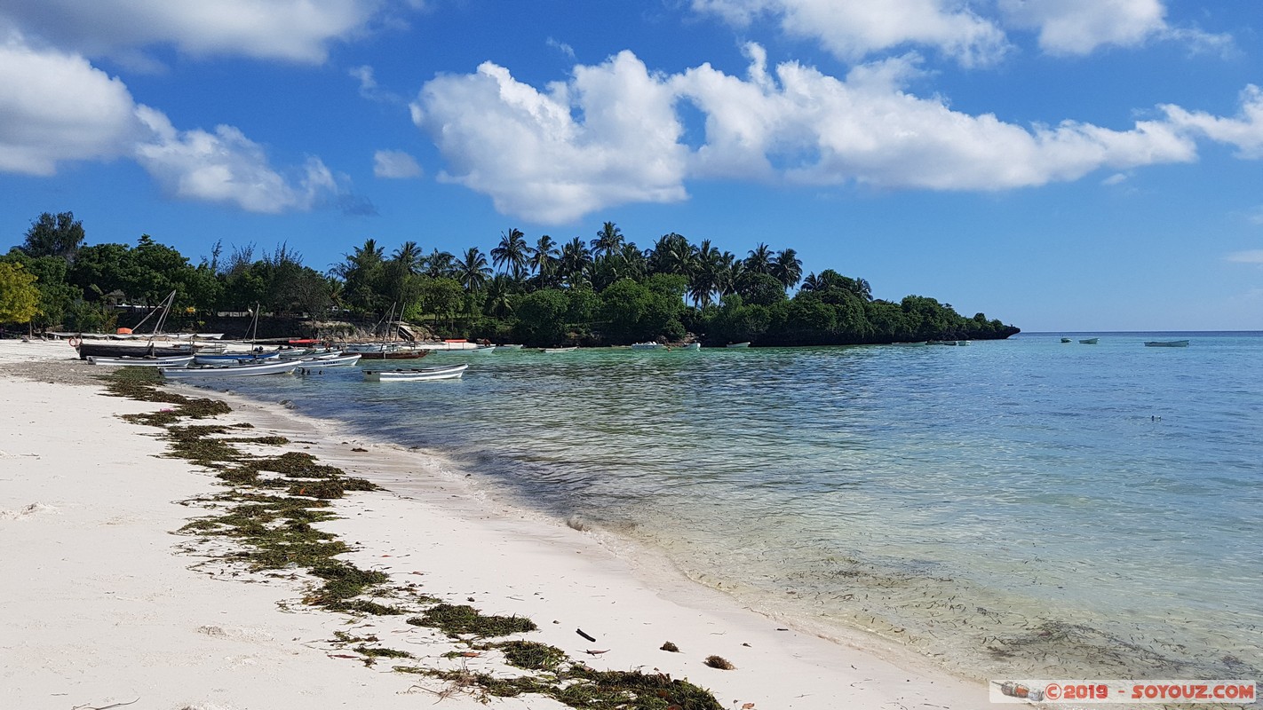 Zanzibar - Dimbani beach
Mots-clés: Dimbani Tanzanie TZA Zanzibar Central/South Zanzibar Karamba Resort Mer plage