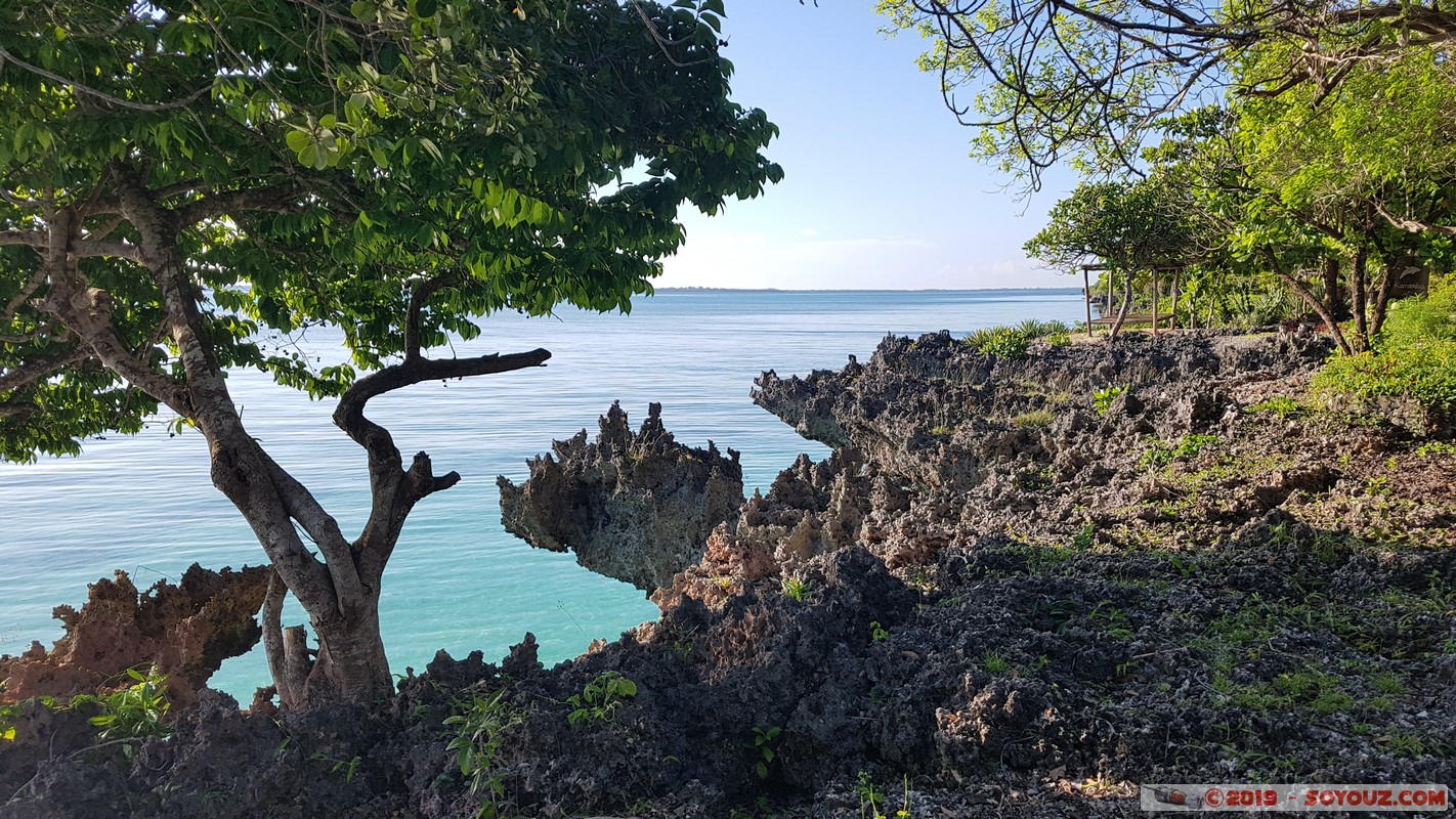 Zanzibar - Dimbani - Karamba Resort
Mots-clés: Dimbani Tanzanie TZA Zanzibar Central/South Zanzibar Karamba Resort Mer